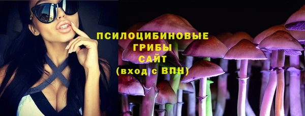 МДПВ Корсаков
