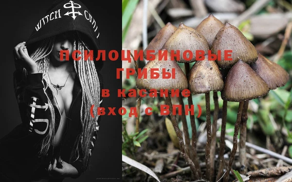 хмурый Краснотурьинск