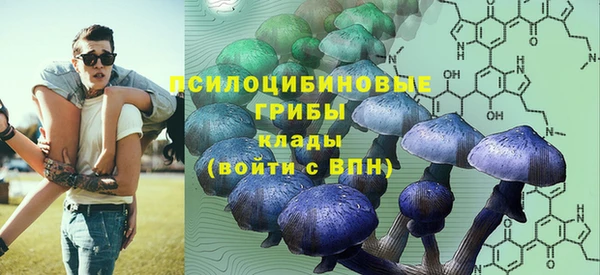 прущая мука Краснослободск