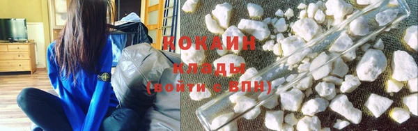 тгк Нея