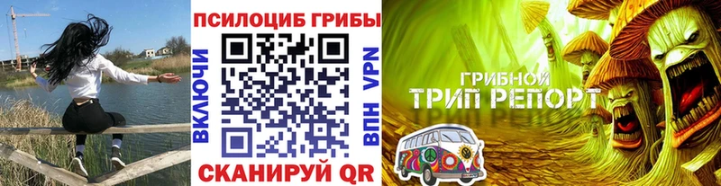 Галлюциногенные грибы Psilocybe  дарнет шоп  Липки 